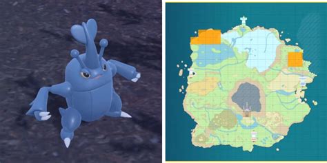 where to find heracross.